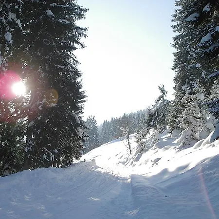Crystal Dorfgastein