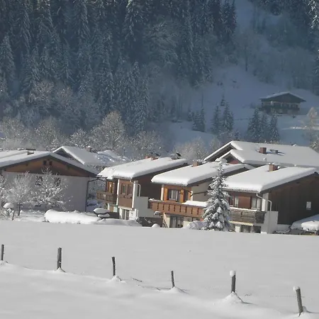 Apartamento Crystal Dorfgastein